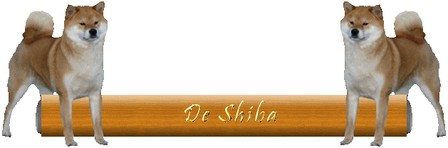 Jaklho Shiba Inu: banner De Shiba