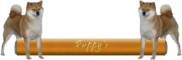 Jaklho Shiba Inu - Banner Puppy-pagina