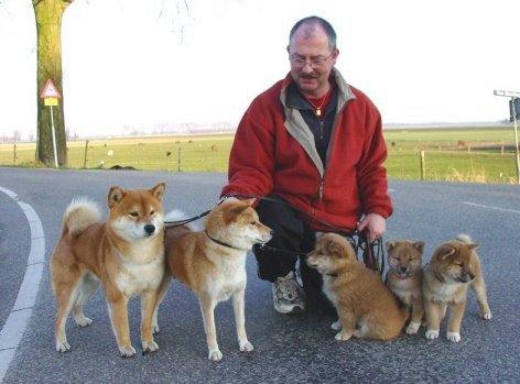 Jaklho Shiba Inu - first litter pups