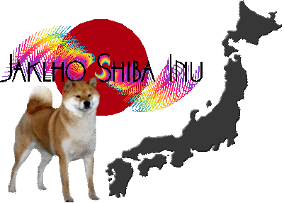 Jaklho Shiba Inu logo-2