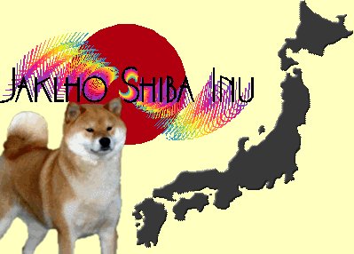 Jaklho Shiba Inu logo-3