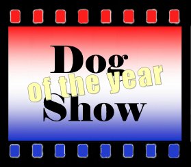 Jaklho Shiba Inu - Nippo Show Holland